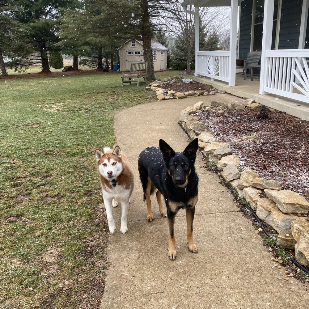 Meet your Posher, Jaime